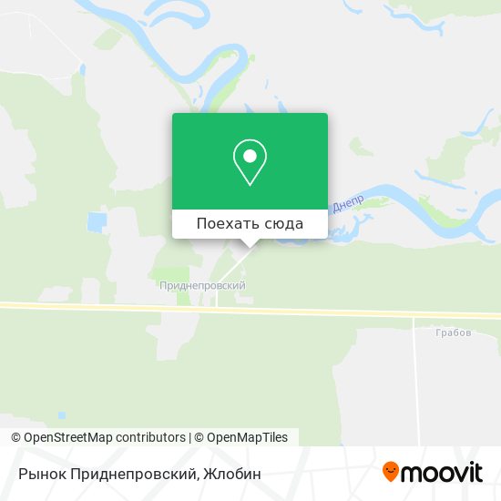 Карта Рынок Приднепровский