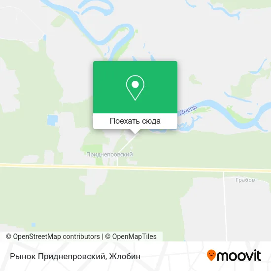 Карта Рынок Приднепровский