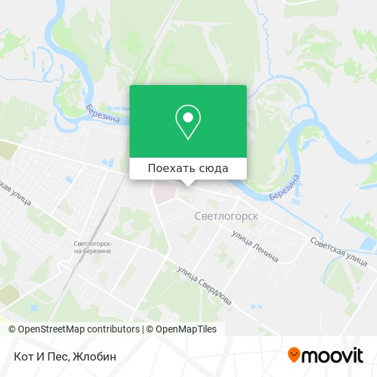 Карта Кот И Пес