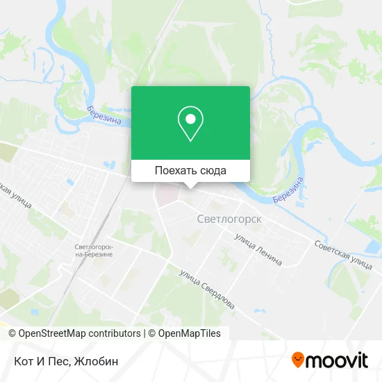 Карта Кот И Пес
