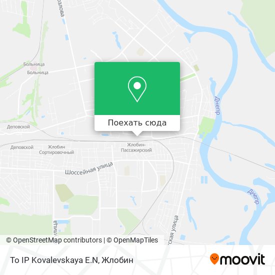 Карта To IP Kovalevskaya E.N