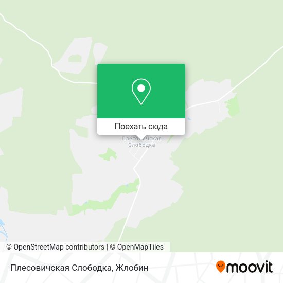 Карта Плесовичская Слободка