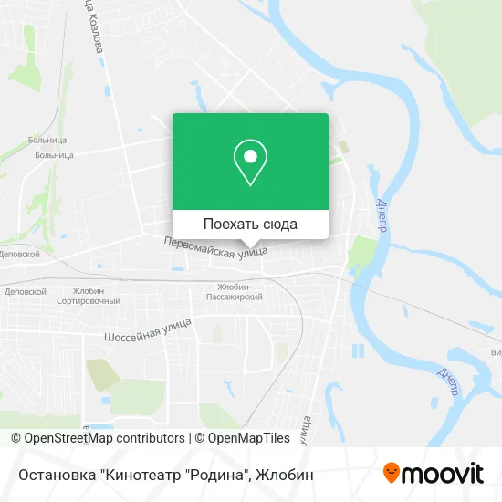 Карта Остановка "Кинотеатр "Родина"