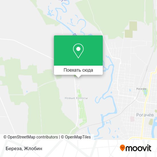 Карта Береза