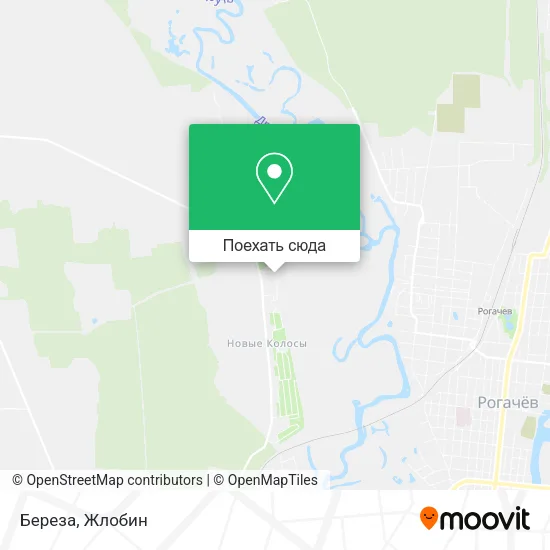 Карта Береза