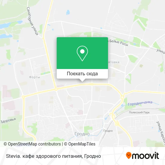Карта Stevia.  кафе здорового питания