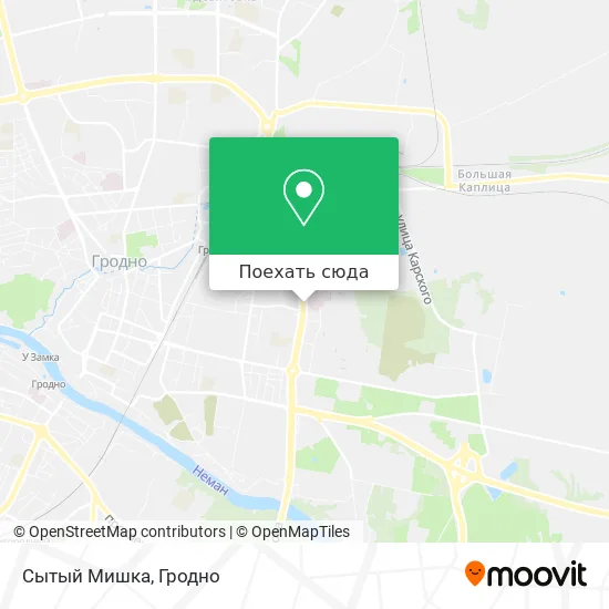 Карта Сытый Мишка