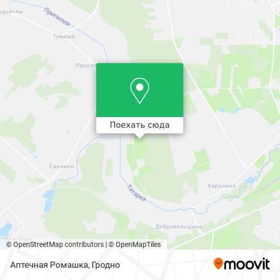 Карта Аптечная Ромашка