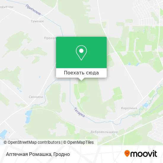 Карта Аптечная Ромашка