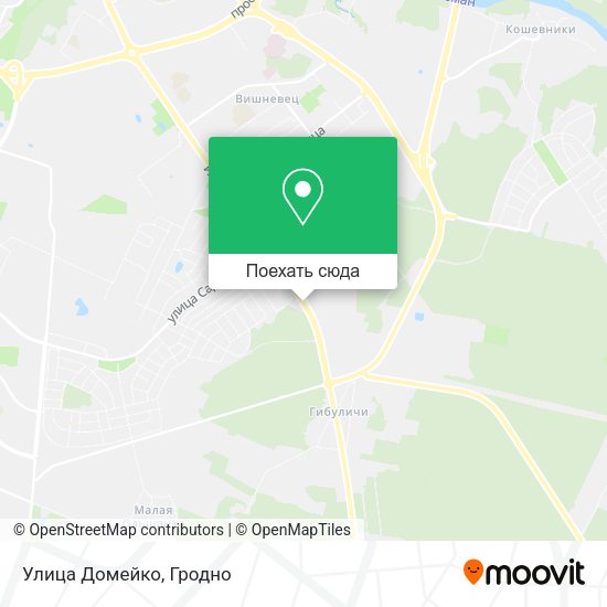 Карта Улица Домейко