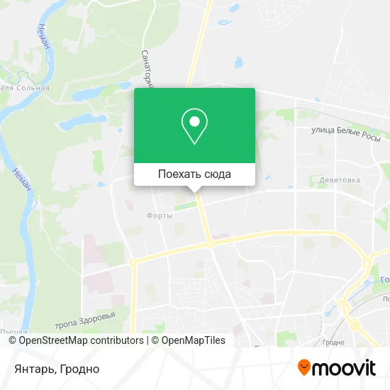 Карта Янтарь