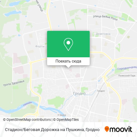 Карта Стадион / Беговая Дорожка на Пушкина