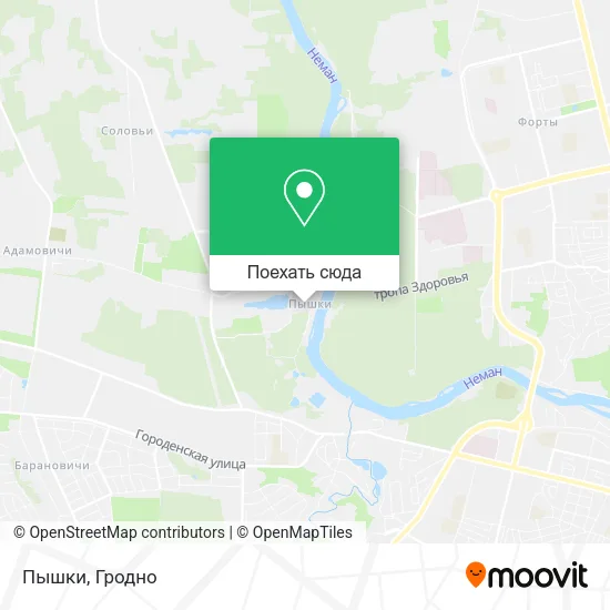 Карта Пышки