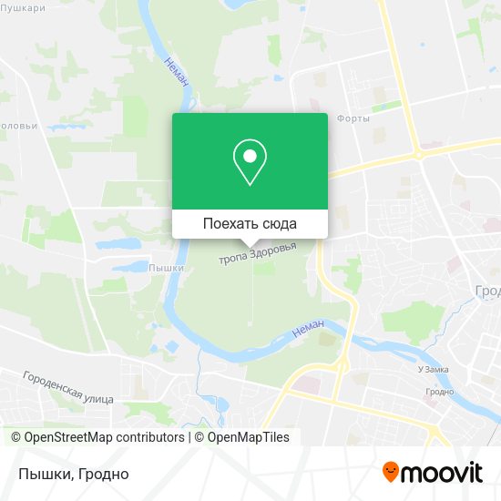 Карта Пышки