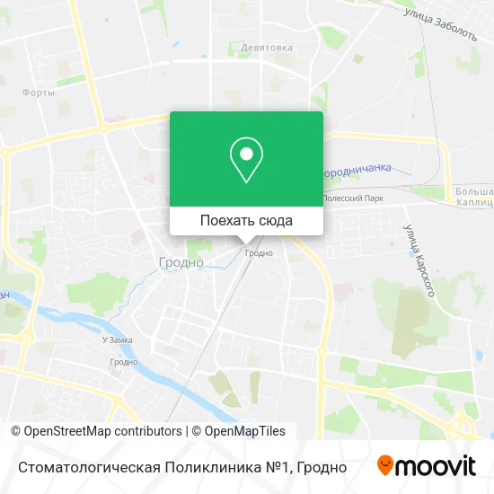 Карта Стоматологическая Поликлиника №1