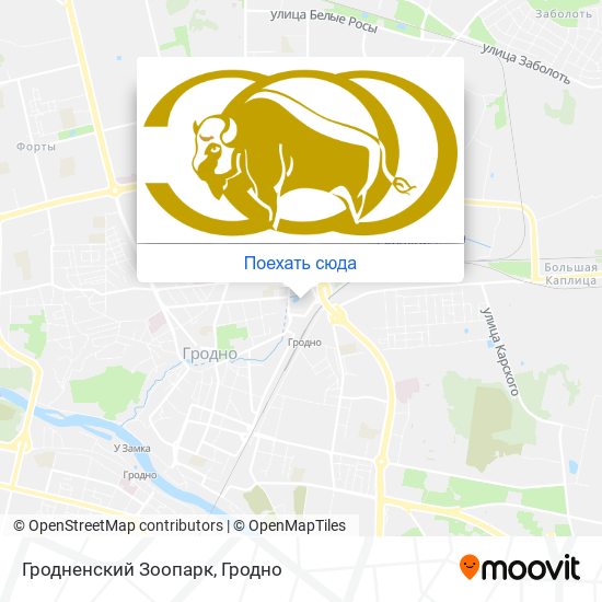 Зоопарк гродно время работы