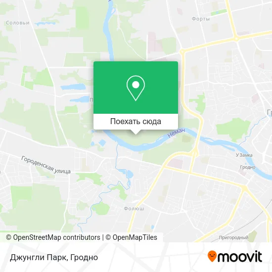Карта Джунгли Парк