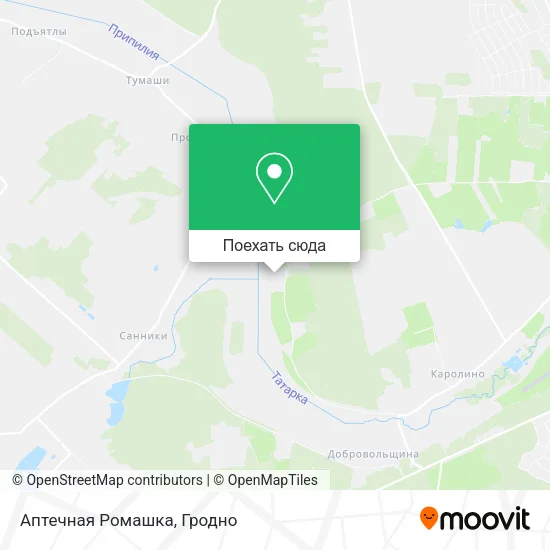 Карта Аптечная Ромашка