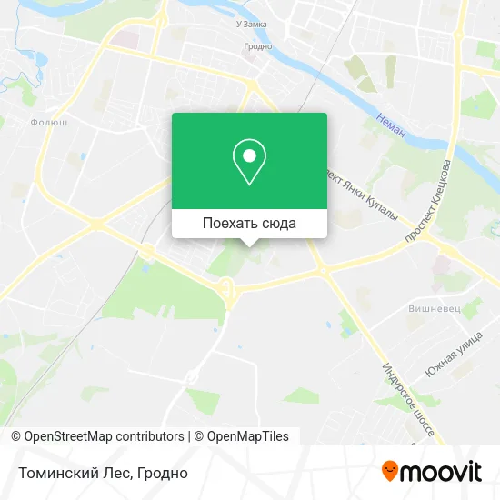 Карта Томинский Лес