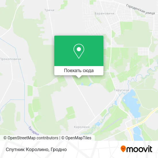 Карта Спутник Королино