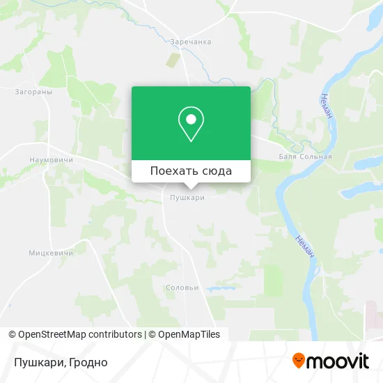 Карта Пушкари