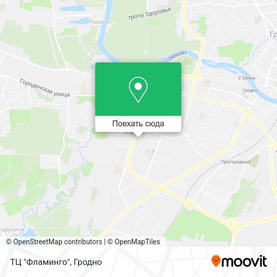 Карта ТЦ "Фламинго"