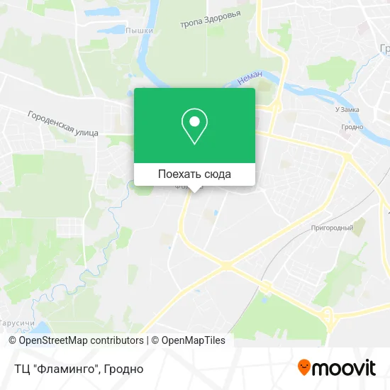 Карта ТЦ "Фламинго"