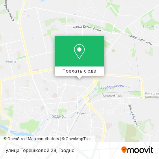 Карта улица Терешковой 28