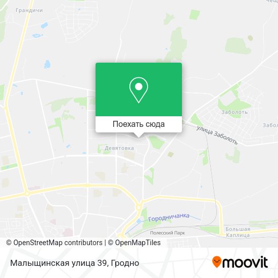 Карта Малыщинская улица 39
