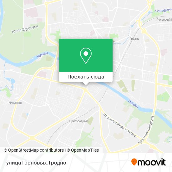 Карта улица Горновых