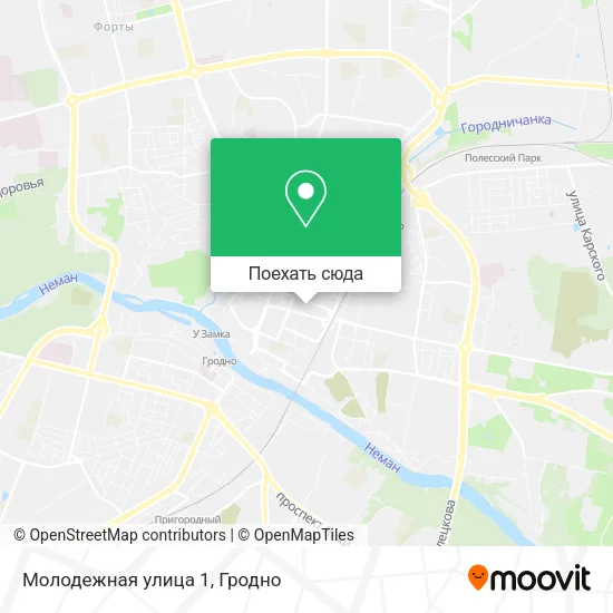 Карта Молодежная улица 1