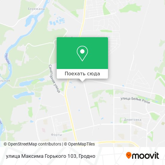 Карта улица Максима Горького 103