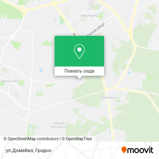 Карта ул.Домейко