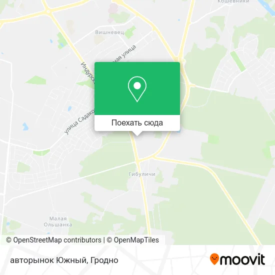 Карта авторынок Южный