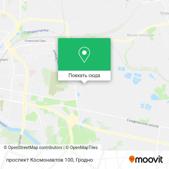 Карта проспект Космонавтов 100