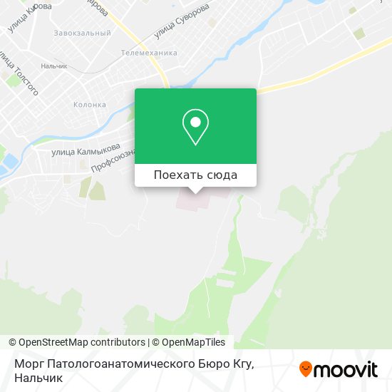 Карта Морг Патологоанатомического Бюро Кгу