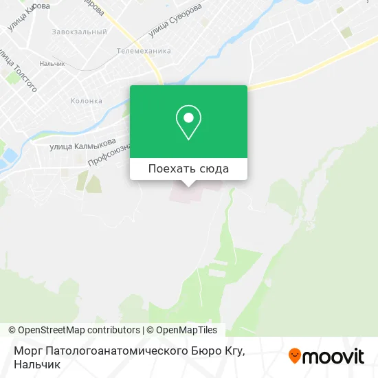 Карта Морг Патологоанатомического Бюро Кгу