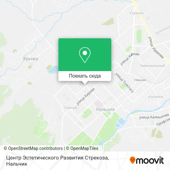 Карта Центр Эстетического Развития Стрекоза