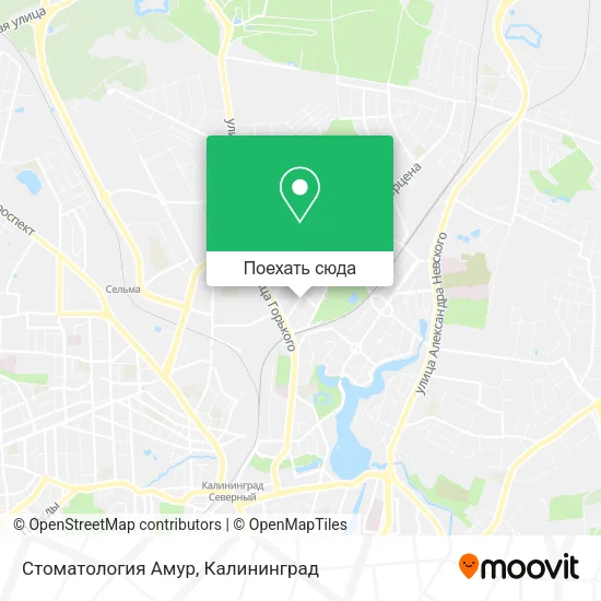 Карта Стоматология Амур