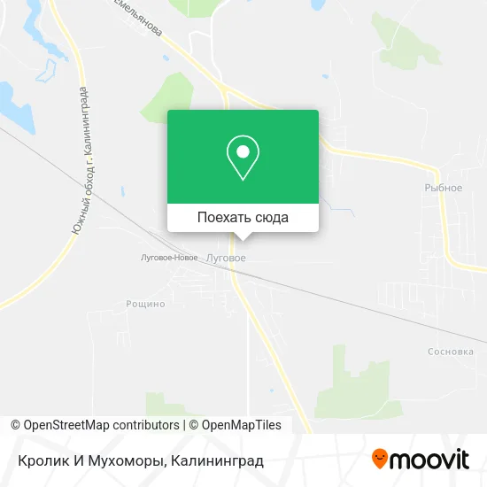 Карта Кролик И Мухоморы