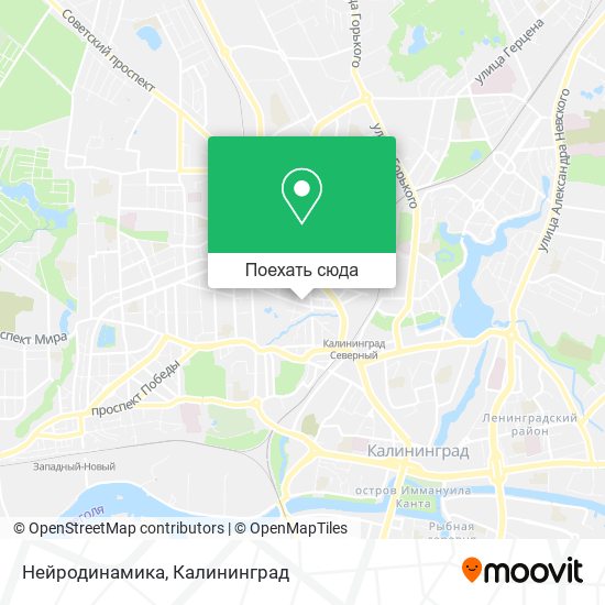 Карта Нейродинамика