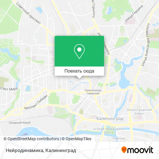 Карта Нейродинамика