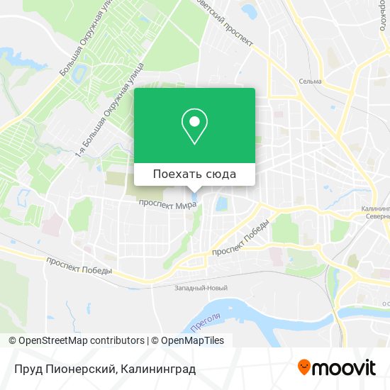Карта Пруд Пионерский