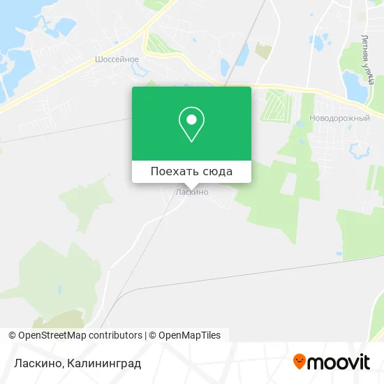 Карта Ласкино