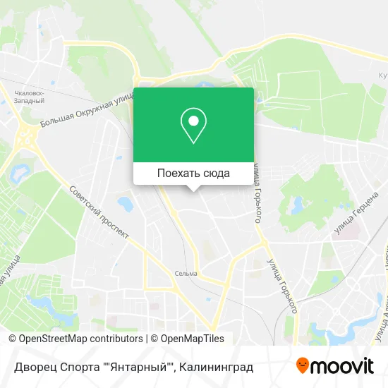 Карта Дворец Спорта ""Янтарный""