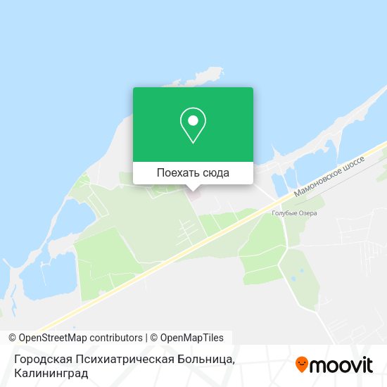 Карта Городская Психиатрическая Больница