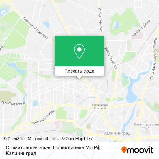 Карта Стоматологическая Поликлиника Мо Рф