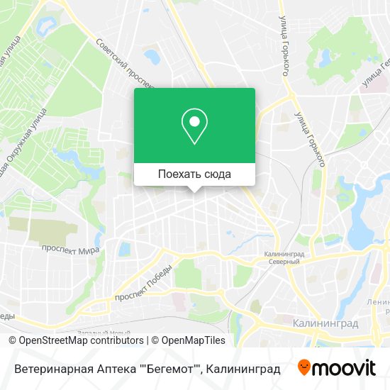 Карта Ветеринарная Аптека ""Бегемот""