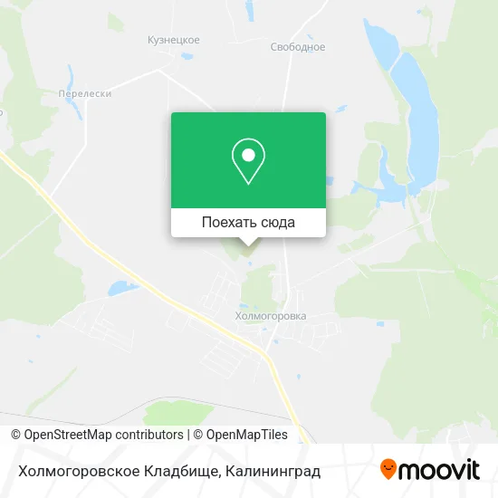 Карта Холмогоровское Кладбище