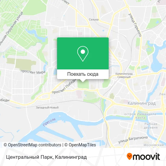 Карта Центральный Парк